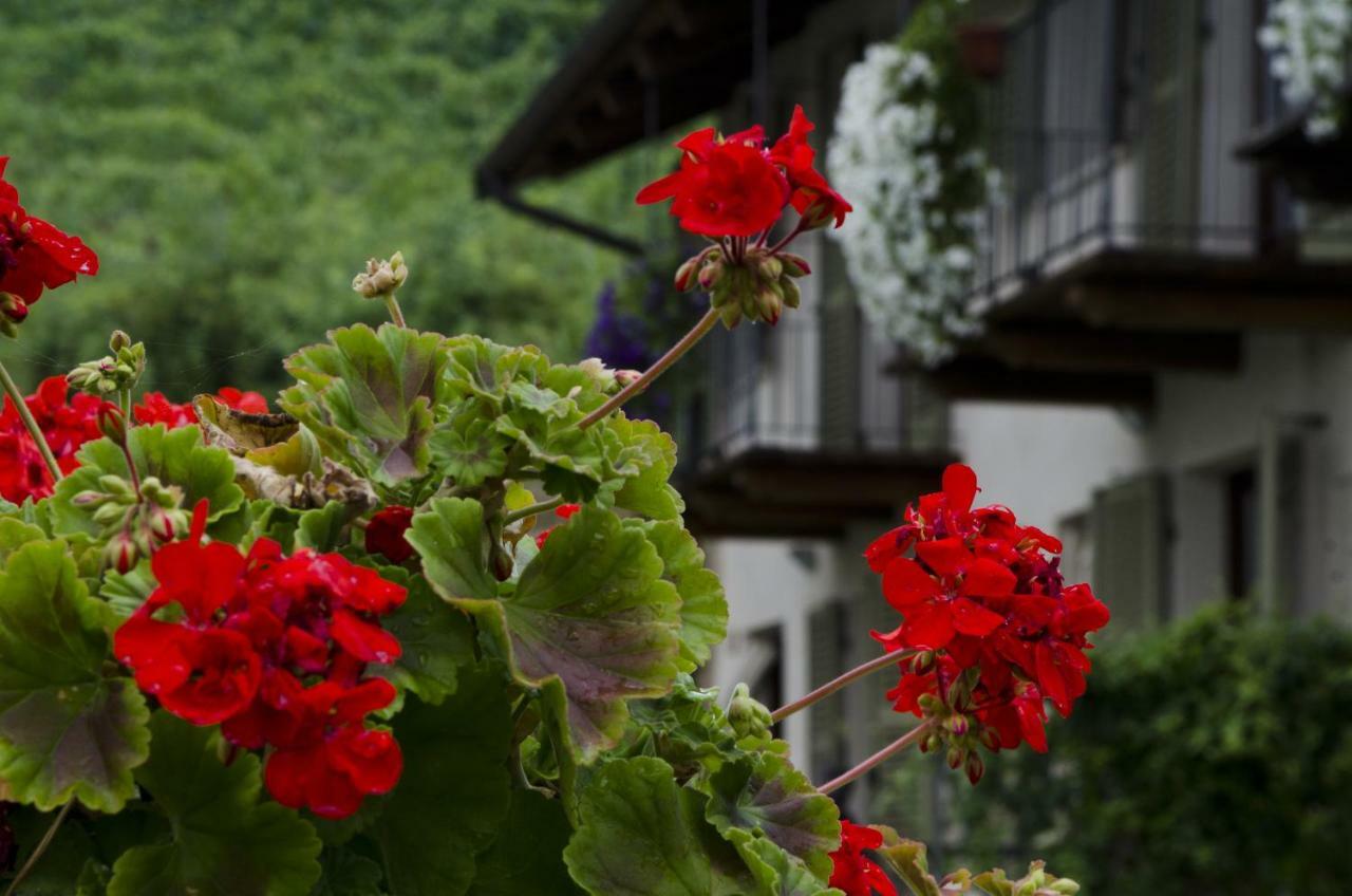 Apartmán Sul Bric Dei Capalot La Morra Exteriér fotografie